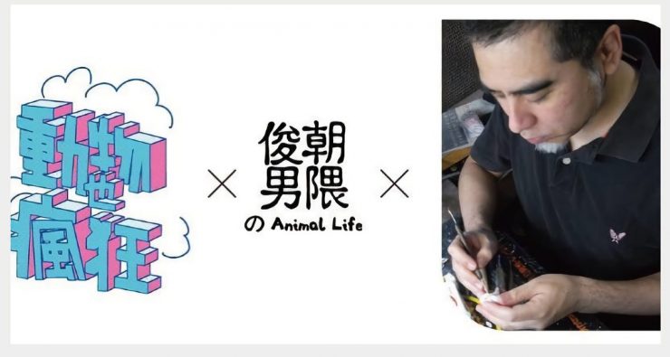 動物也瘋狂扭蛋展