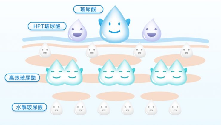 肌研 洗面乳