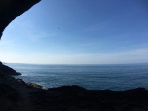 和歌山