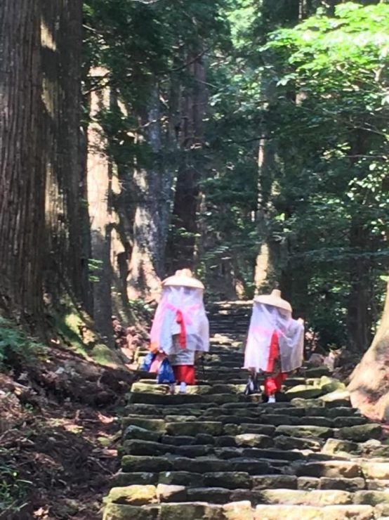 和歌山