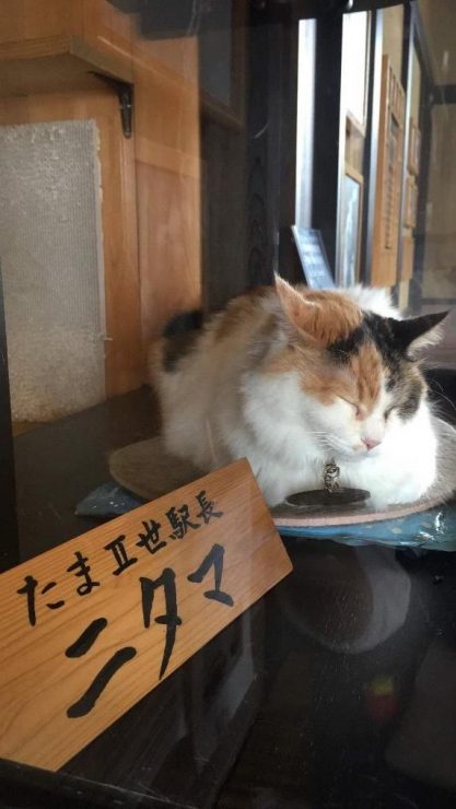和歌山