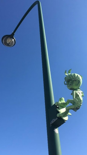 鳥取縣