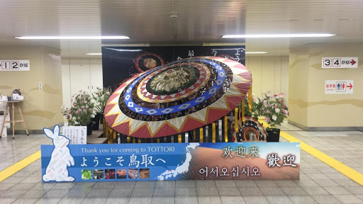 鳥取縣