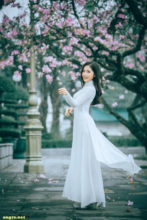 奧黛 越南