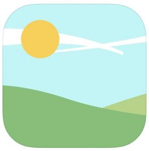 APP
