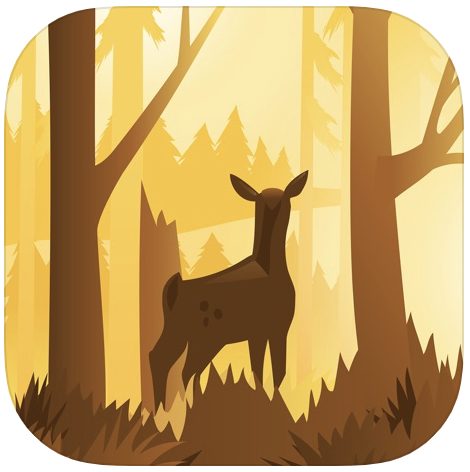 APP