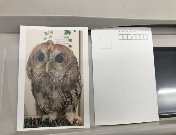 旅遊明信片 自製