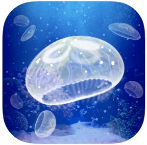 水族箱APP