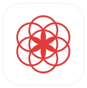 準備懷孕