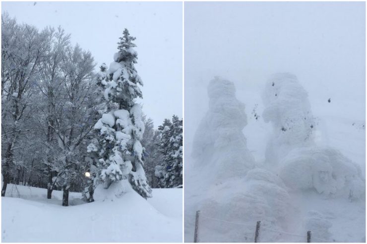 山形 冬季 旅遊
