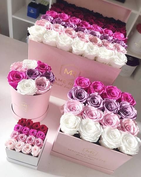 不凋花購買