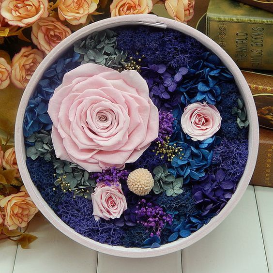 不凋花購買