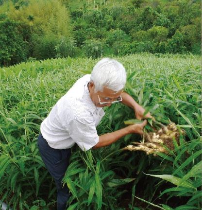 薑心比心