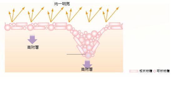 COVERMARK羽紗恆霧粉底