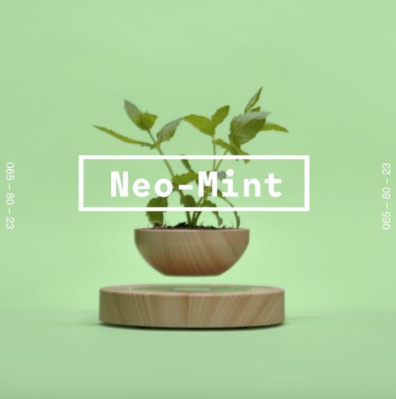 Neo-Mint