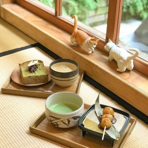 抹茶