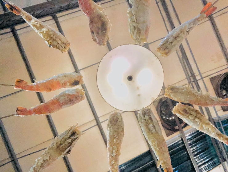 向理來