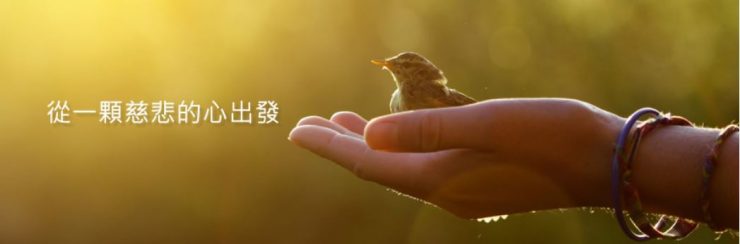 里仁皂推薦