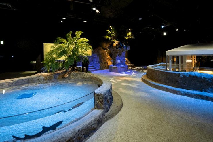 DMM KARIYUSHI水族館