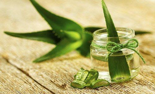 蘆薈膠推薦