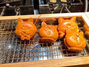 旭集
