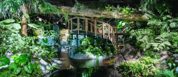 DMM KARIYUSHI水族館