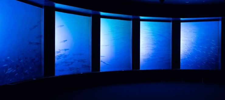 DMM KARIYUSHI水族館