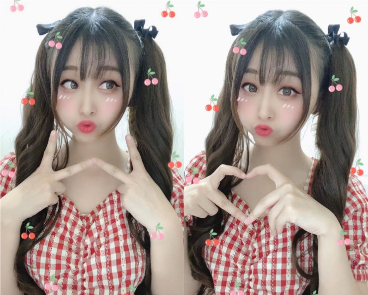 雙馬尾髮片