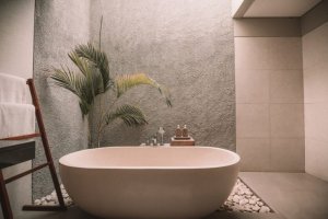 https://unsplash.com/photos/PibraWHb4h8