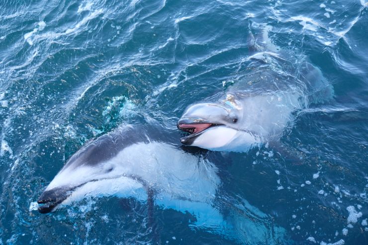 金澤水族館