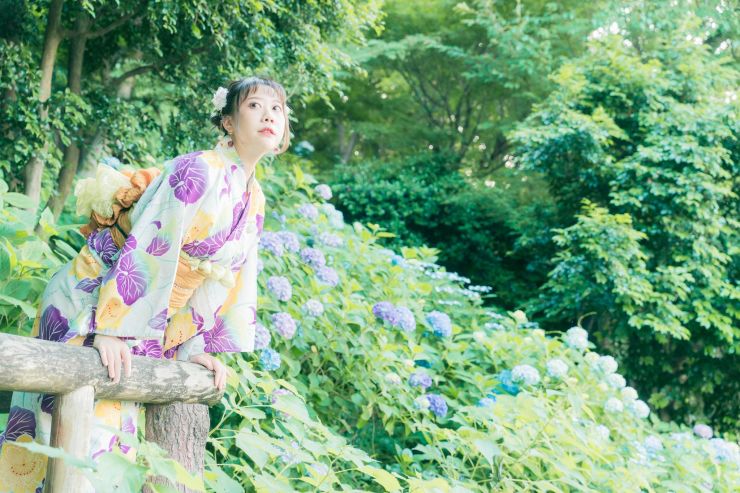 東京繡球花