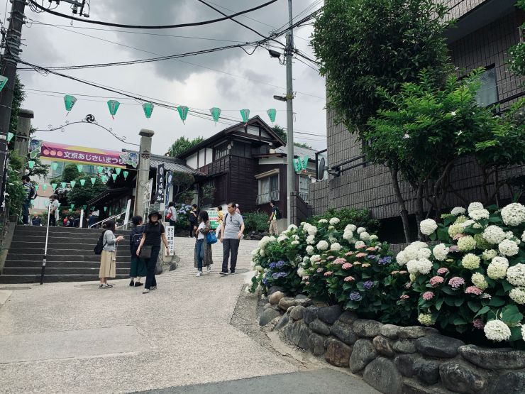 東京繡球花