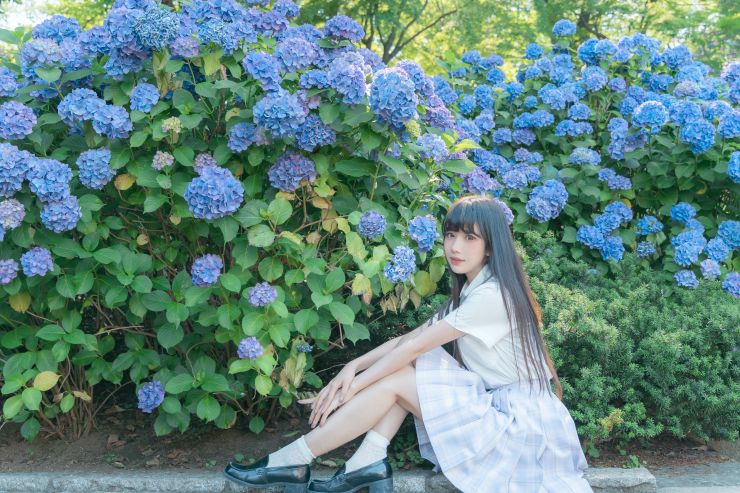 東京繡球花