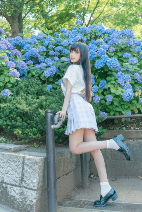 東京繡球花