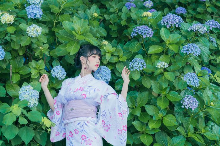 東京繡球花