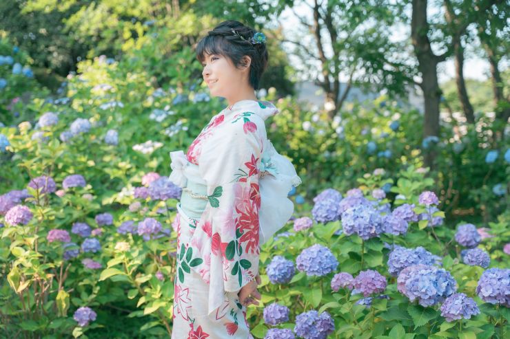 東京繡球花