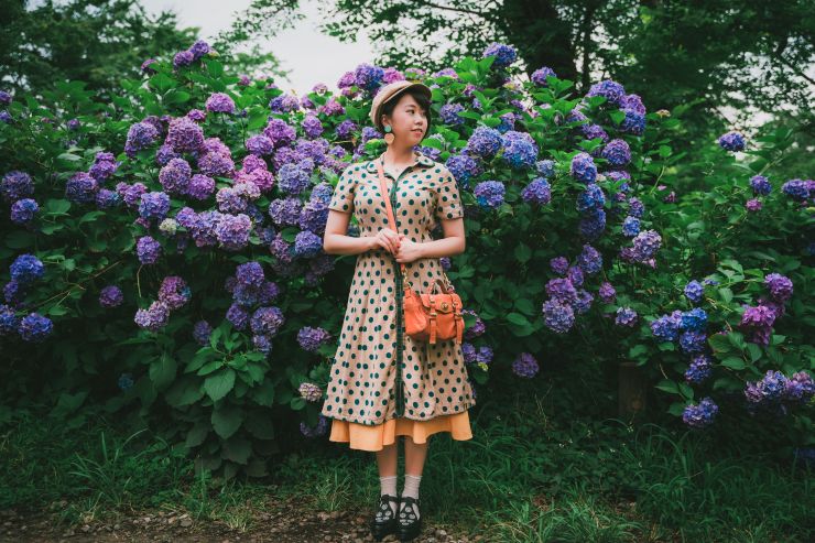 東京繡球花