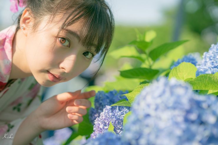 東京繡球花