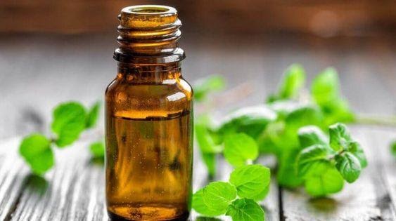 精油防疫方法 使用精油抗菌的好處?