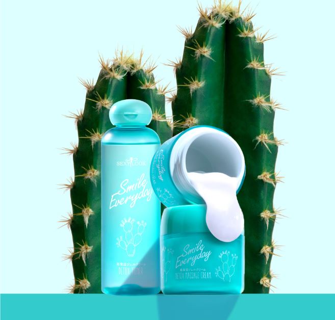 仙人掌夜光系列