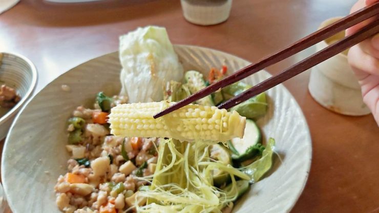 松鼠食堂