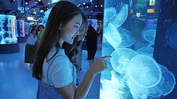 桃園水族館Xpark