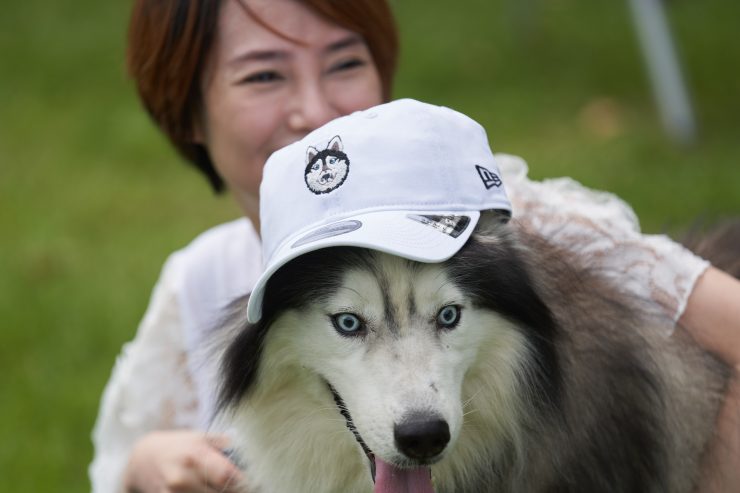 New Era x 哈士奇台灣限量