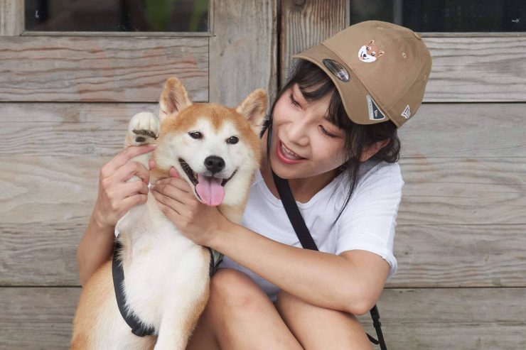 New Era x 柴犬