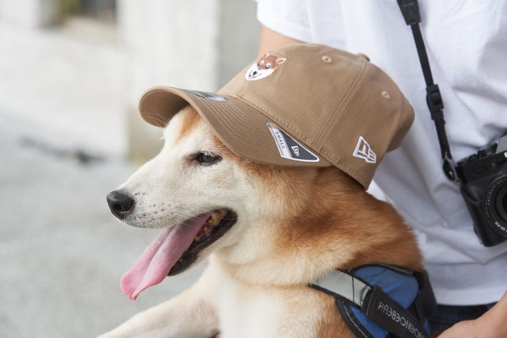 New Era x 柴犬台灣限量