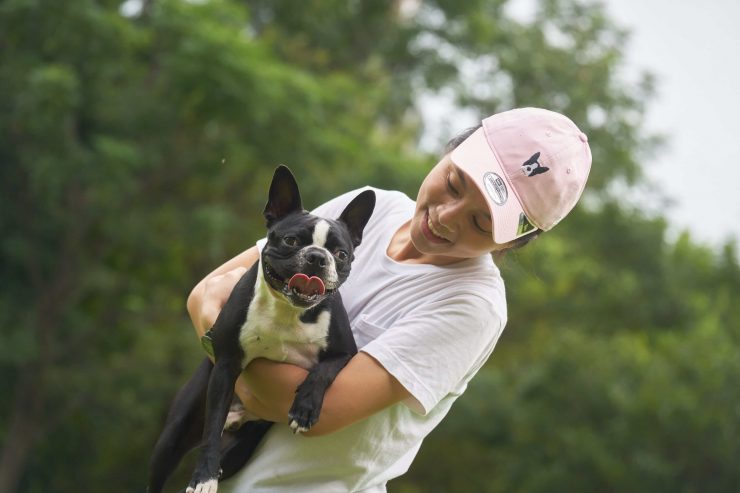 New Era x 法國鬥牛犬