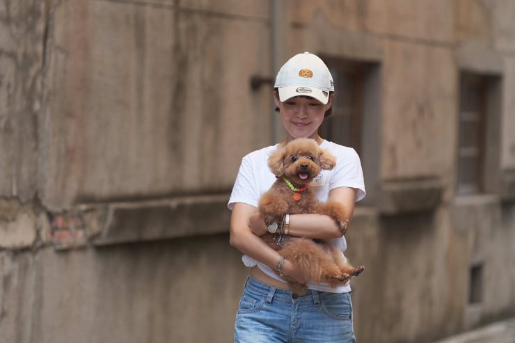 New Era x 貴賓犬