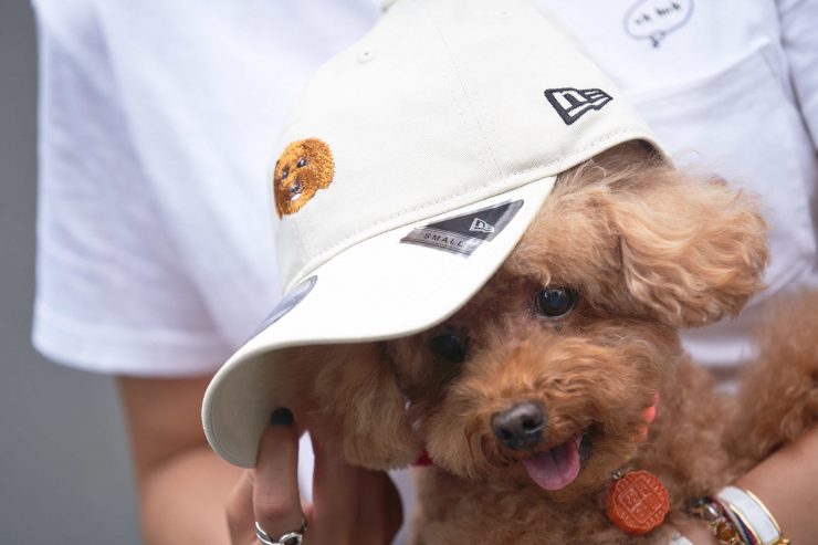 New Era x 貴賓犬台灣限量