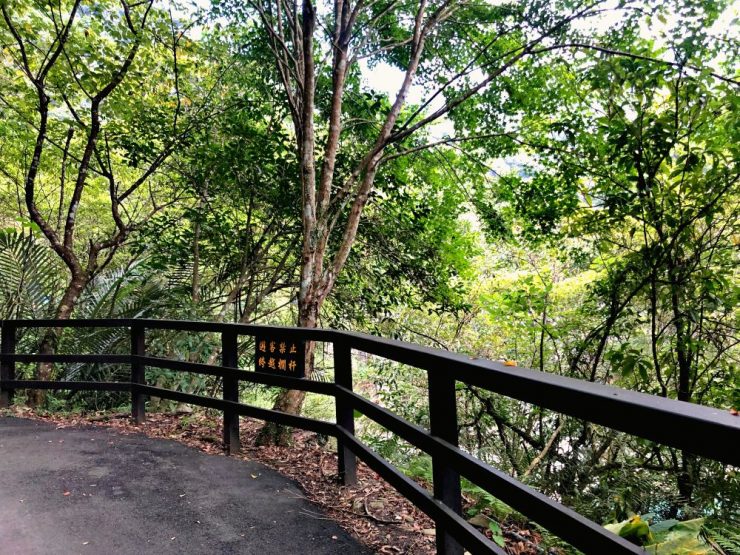 內洞森林園區