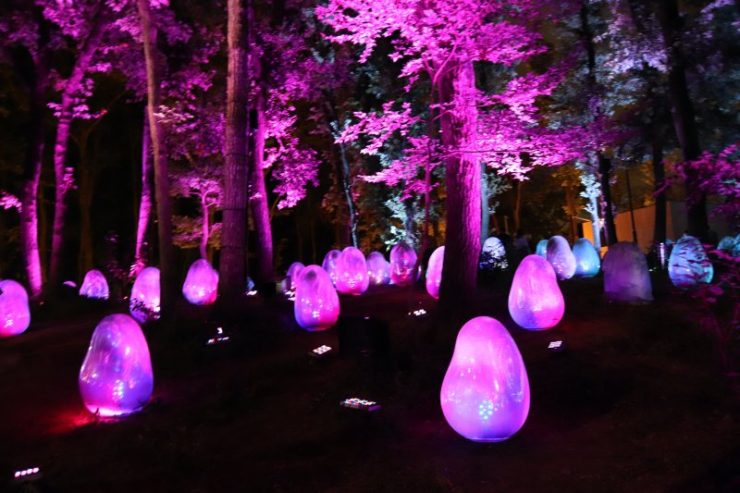 Teamlab